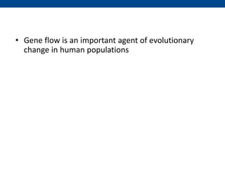 • Gene flow is an important agent of evolutionary
change in human populations
 