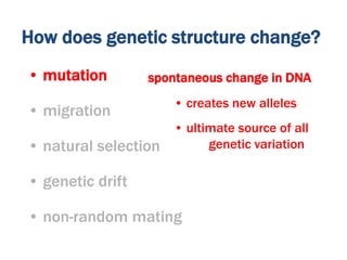 • mutation
• migration
• natural selection
• genetic drift
• non-random mating
spontaneous change in DNA
• creates new alleles
• ultimate source of all
genetic variation
How does genetic structure change?
 