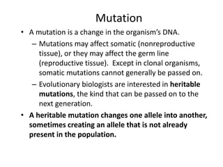 Mutation
• A mutation is a change in the organism’s DNA.
– Mutations may affect somatic (nonreproductive
tissue), or they may affect the germ line
(reproductive tissue). Except in clonal organisms,
somatic mutations cannot generally be passed on.
– Evolutionary biologists are interested in heritable
mutations, the kind that can be passed on to the
next generation.
• A heritable mutation changes one allele into another,
sometimes creating an allele that is not already
present in the population.
 