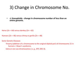 3) Change in Chromosome No.
• a) Aneuploidy - change in chromosome number of less than an
entire genome.
Horse (2n = 64) versus donkey (2n = 62)
Humans (2n = 46) versus chimp or gorilla (2n = 48)
Some Genetic Diseases
Trisomy (addition of a chromosome to the original diploid pair) of chromosome 21 in
humans = Down's syndrome.
Extra or one sex chromosomes ( e. g., XYY, XXY, X).
 