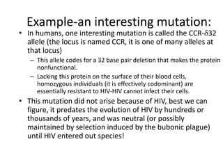 Example-an interesting mutation:
• In humans, one interesting mutation is called the CCR-d32
allele (the locus is named CCR, it is one of many alleles at
that locus)
– This allele codes for a 32 base pair deletion that makes the protein
nonfunctional.
– Lacking this protein on the surface of their blood cells,
homozygous individuals (it is effectively codominant) are
essentially resistant to HIV-HIV cannot infect their cells.
• This mutation did not arise because of HIV, best we can
figure, it predates the evolution of HIV by hundreds or
thousands of years, and was neutral (or possibly
maintained by selection induced by the bubonic plague)
until HIV entered out species!
 