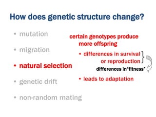 • differences in survival
or reproduction
certain genotypes produce
more offspring
• leads to adaptation
differences in“fitness”
How does genetic structure change?
• mutation
• migration
• natural selection
• genetic drift
• non-random mating
 