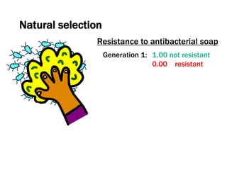 Natural selection
Resistance to antibacterial soap
Generation 1: 1.00 not resistant
0.00 resistant
 