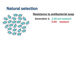 Natural selection
Generation 1: 1.00 not resistant
0.00 resistant
Resistance to antibacterial soap
 