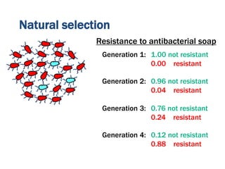 Natural selection
Resistance to antibacterial soap
Generation 1: 1.00 not resistant
0.00 resistant
Generation 2: 0.96 not resistant
0.04 resistant
Generation 3: 0.76 not resistant
0.24 resistant
Generation 4: 0.12 not resistant
0.88 resistant
 