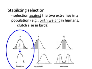 Stabilizing selection
- selection against the two extremes in a
population (e.g., birth weight in humans,
clutch size in birds)
 