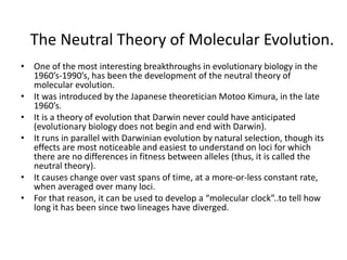 The Neutral Theory of Molecular Evolution.
• One of the most interesting breakthroughs in evolutionary biology in the
1960’s-1990’s, has been the development of the neutral theory of
molecular evolution.
• It was introduced by the Japanese theoretician Motoo Kimura, in the late
1960’s.
• It is a theory of evolution that Darwin never could have anticipated
(evolutionary biology does not begin and end with Darwin).
• It runs in parallel with Darwinian evolution by natural selection, though its
effects are most noticeable and easiest to understand on loci for which
there are no differences in fitness between alleles (thus, it is called the
neutral theory).
• It causes change over vast spans of time, at a more-or-less constant rate,
when averaged over many loci.
• For that reason, it can be used to develop a “molecular clock”..to tell how
long it has been since two lineages have diverged.
 
