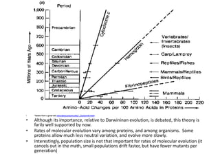 • *Stolen from a great site nitro.biosci.arizona.edu/.../Lecture47.html
• Although its importance, relative to Darwininan evolution, is debated, this theory is
farily well supported by now.
• Rates of molecular evolution vary among proteins, and among organisms. Some
proteins allow much less neutral variation, and evolve more slowly.
• Interestingly, population size is not that important for rates of molecular evolution (it
cancels out in the math, small populations drift faster, but have fewer mutants per
generation)
 