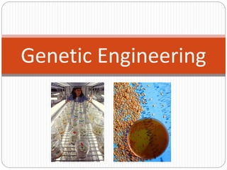 Genetic-Engineering.pptx