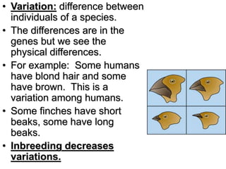 GENETIC-ENGINEERING.ppt