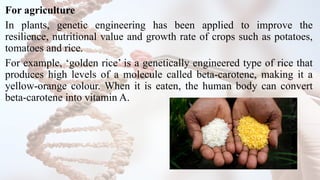 Engineering Potato Genetic-Engineeringbgshthyjyghwtttttegtyggetv.pptx
