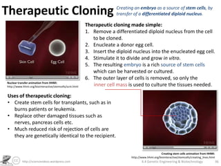 Genetic Engineering and Biotechnology | PPTX