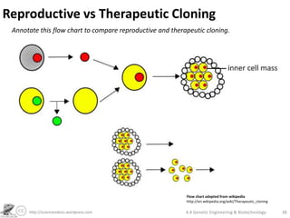 Genetic Engineering and Biotechnology | PPTX