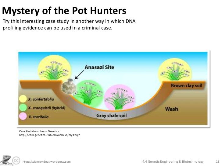 Genetic Engineering and Biotechnology
