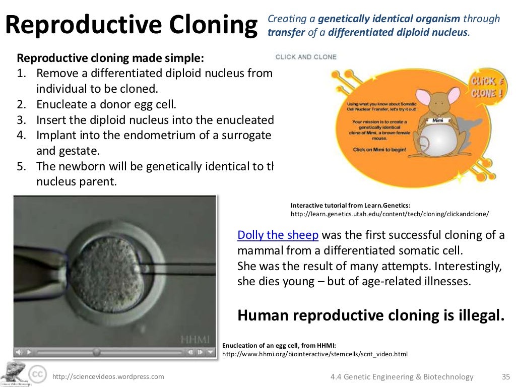 Genetic Engineering and Biotechnology