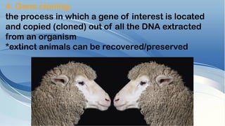 4. Gene cloning-
the process in which a gene of interest is located
and copied (cloned) out of all the DNA extracted
from an organism
*extinct animals can be recovered/preserved
 