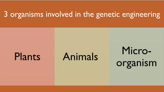 3 organisms involved in the genetic engineering
Plants Animals
Micro-
organism
 