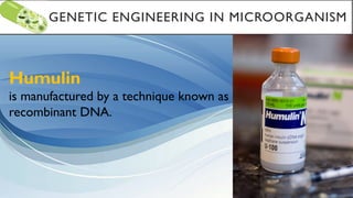 GENETIC ENGINEERING IN MICROORGANISM
Humulin
is manufactured by a technique known as
recombinant DNA.
 