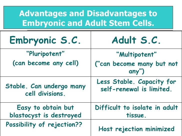 Stem Cell Research Cons