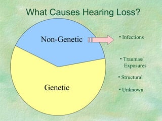 Genetic
• Infections
• Structural
What Causes Hearing Loss?
• Unknown
• Traumas/
Exposures
Non-Genetic
 