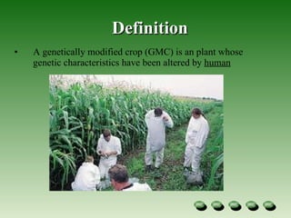 Definition A genetically modified crop (GMC) is an plant whose genetic characteristics have been altered by  human 