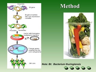 Method  Note: Bt:  Bacterium thuringiensis  