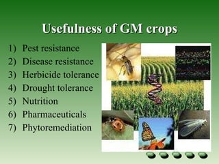 Usefulness of GM crops Pest resistance  Disease resistance  Herbicide tolerance  Drought tolerance  Nutrition  Pharmaceuticals  Phytoremediation  