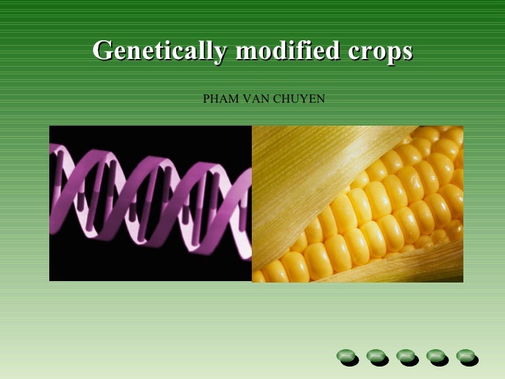 Modified Crops