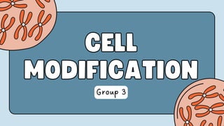 CELL
CELL
MODIFICATION
MODIFICATION
Group 3
 
