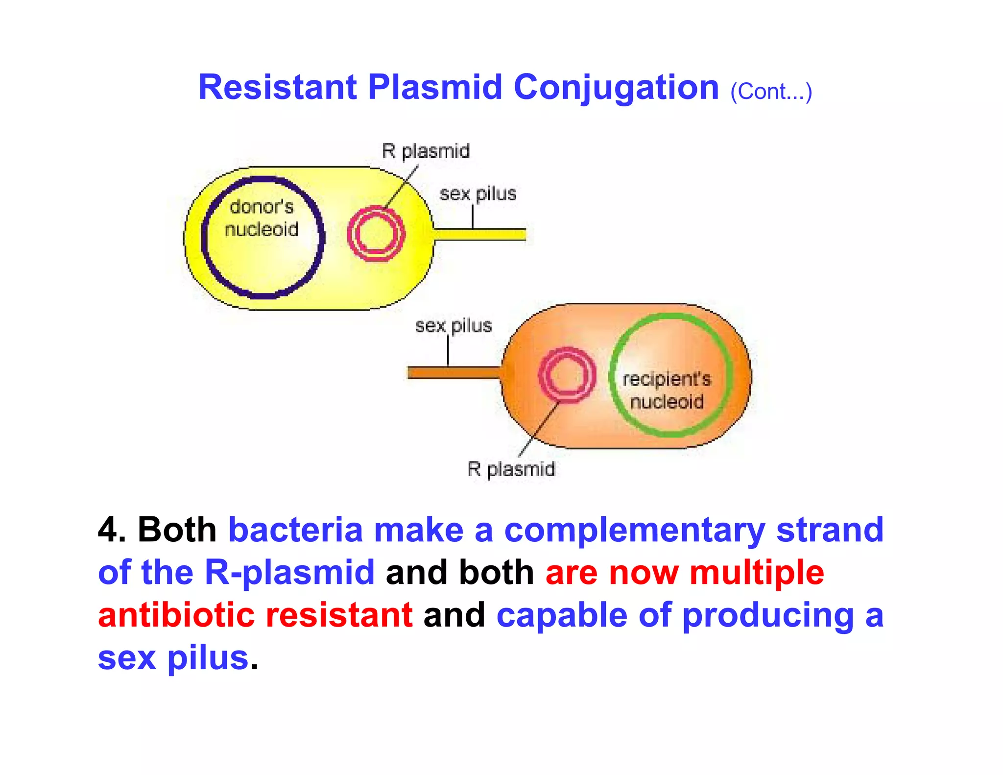 Resistant Plasmid Conjugation (Cont...)
4 Both bacteria make a complementary strand
4. Both bacteria make a complementary strand
of the R-plasmid and both are now multiple
antibiotic resistant and capable of producing a
p p g
sex pilus.
 