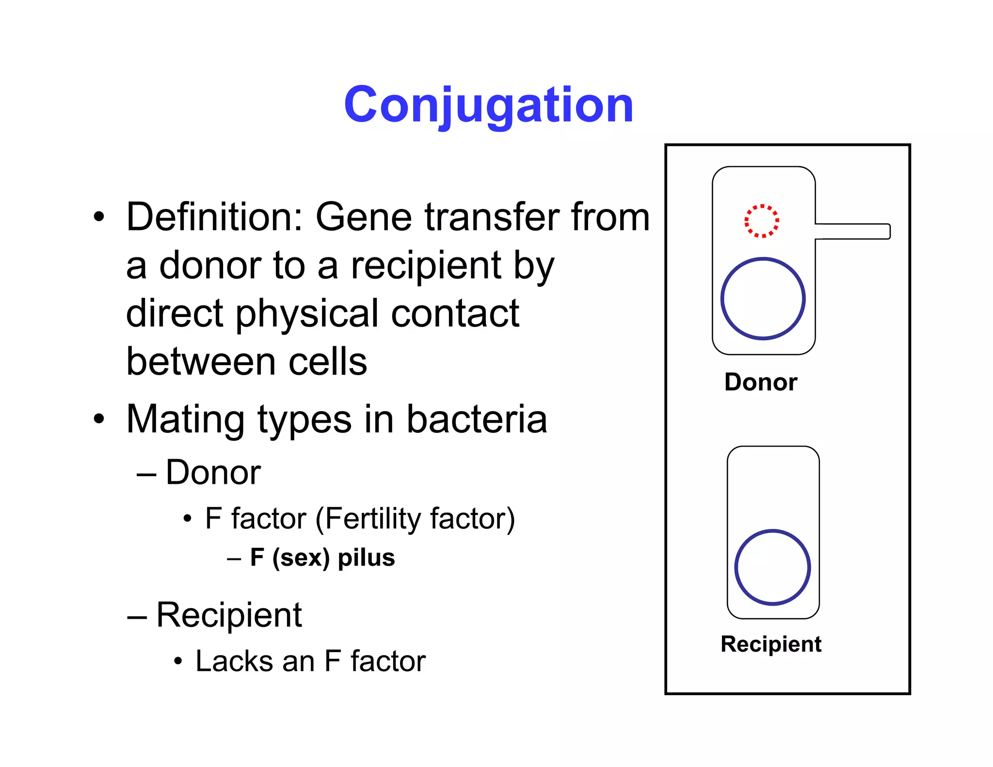 Conjugation
• Definition: Gene transfer from
a donor to a recipient by
direct physical contact
between cells
• Mating types in bacteria
Donor
Mating types in bacteria
– Donor
• F factor (Fertility factor)
F factor (Fertility factor)
– F (sex) pilus
– Recipient
Recipient
Recipient
• Lacks an F factor
 