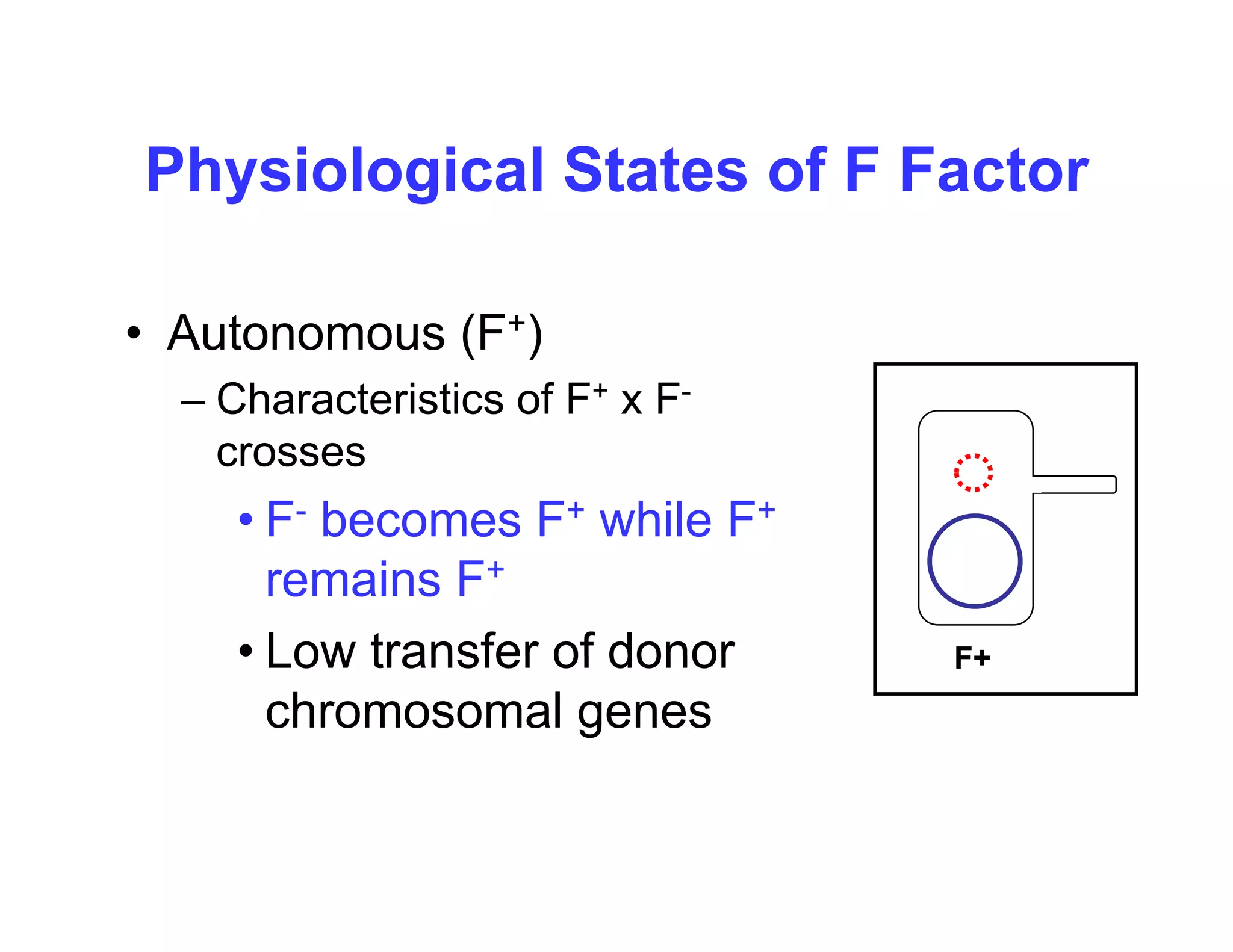 Physiological States of F Factor
Physiological States of F Factor
• Autonomous (F+)
– Characteristics of F+ x F-
crosses
• F- becomes F+ while F+
F becomes F while F
remains F+
• Low transfer of donor F+
• Low transfer of donor
chromosomal genes
F+
 