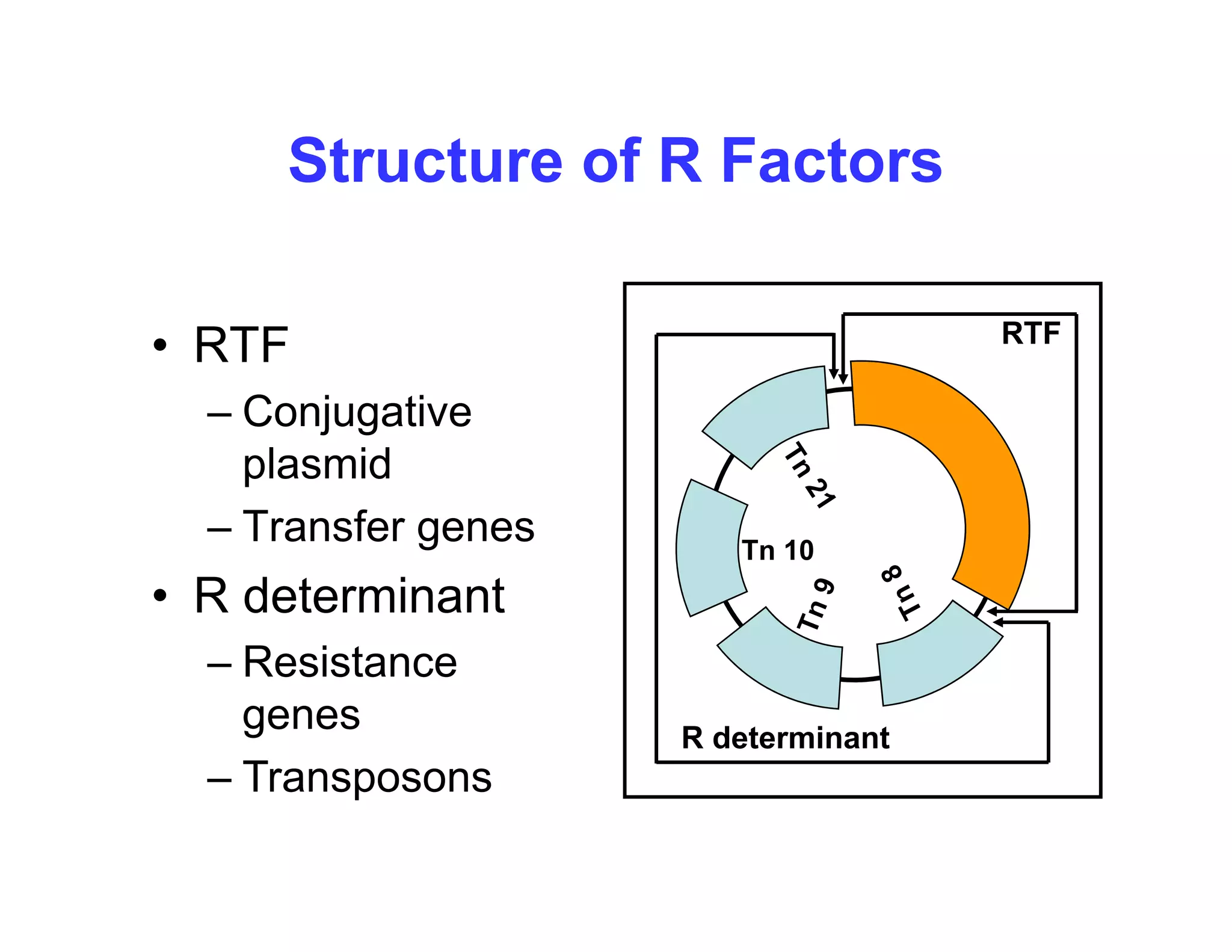 Structure of R Factors
Structure of R Factors
• RTF
– Conjugative
RTF
– Conjugative
plasmid
– Transfer genes
Transfer genes
• R determinant
Resistance
Tn 10
R determinant
– Resistance
genes
Transposons
– Transposons
 