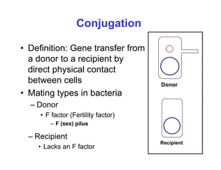 genetic-recombination-1 [Compatibility Mode].pdf