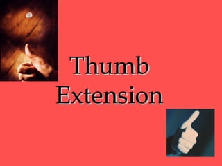 Genetic Traits | PPT