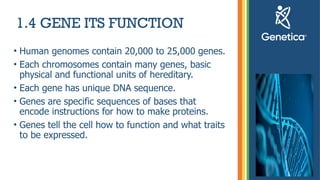 Genetic - basic knowledge for dummies about Genetic | PPTX