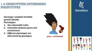 Genetic - basic knowledge for dummies about Genetic | PPTX