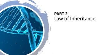 Genetic - basic knowledge for dummies about Genetic | PPTX