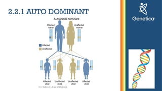 Genetic - basic knowledge for dummies about Genetic | PPTX