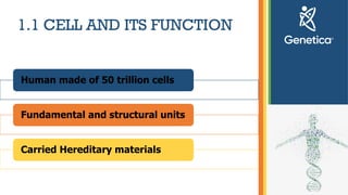 Genetic - basic knowledge for dummies about Genetic | PPTX