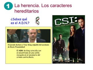 La herencia. Los caracteres hereditarios El  ADN  de King coincidía con el encontrado en una colilla recogida en el escenario del crimen contra Rocío.  El jurado declara a Tony King culpable del asesinato de Rocío Wanninkhof  ¿Sabes qué es el A.D.N.? 1 
