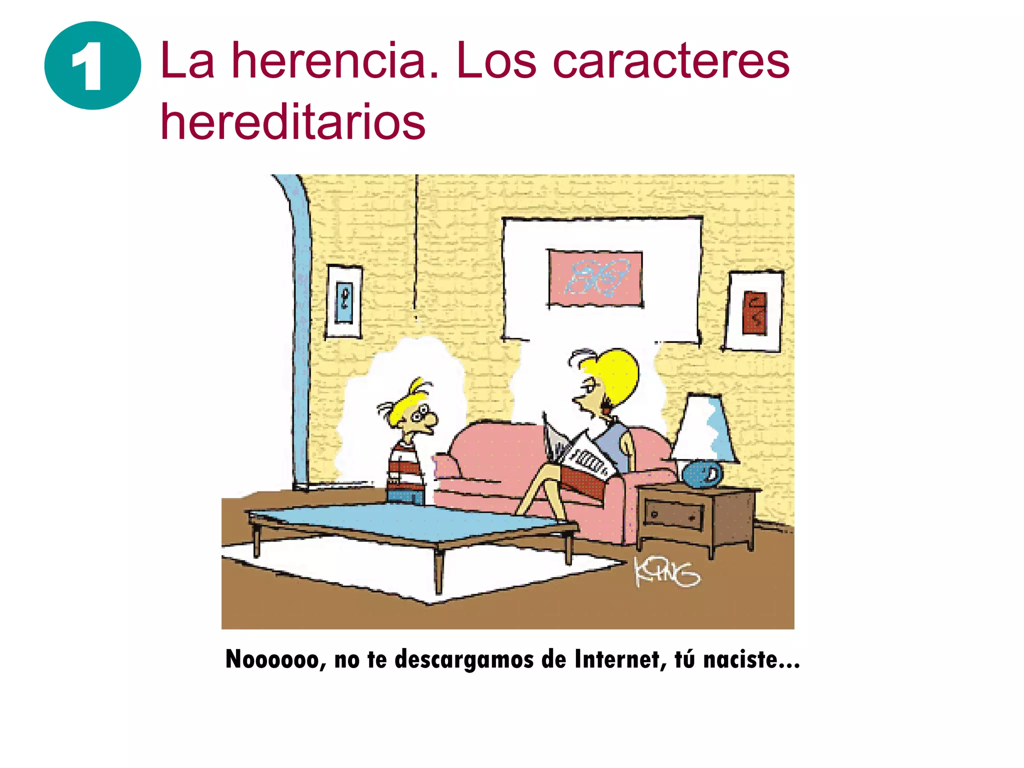 La herencia. Los caracteres hereditarios Noooooo, no te descargamos de Internet, tú naciste...  1 