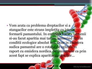 Vomarata ca problemadreptacilorsi a stangacilorestestransimpletita cu istoriaformariipamantului. In emisferasudicaoameniisi-au facutaparitiamaitarziu, nimerindaici in conditiiecologiceabsolutnoi. Doar in emisferasudicapamantul are o rotatie de oglinda in raport cu emisferanordica. Se presupune ca prinacestfapt se explicaaparitiastangacilor...