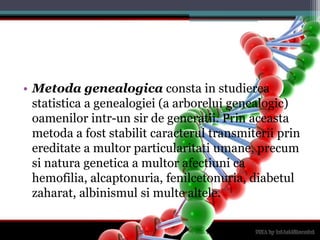 Metodagenealogicaconsta in studiereastatistica a genealogiei (a arborelui genealogic) oamenilorintr-un sir de generatii. Prinaceastametoda a foststabilitcaracterultransmiteriiprinereditate a multorparticularitatiumane, precumsinaturagenetica a multorafectiuni ca hemofilia, alcaptonuria, fenilcetonuria, diabetulzaharat, albinismulsimultealtele. 