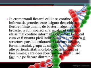 In cromozomiifiecareicelule se contineinformatiagenetica care asiguradeosebireafiecareifiinteumane de bacterii, alge, melc, broaste, vrabii, soareci s. a. m. d. Tot odata, in ele se maicontineinformatia cu privire la faptul cum vafinuantapieiiindividuluidat, culoareasistructuraparului, culoareasitaieturaochilor, forma nasului, grupa de sangesi o multime de alteparticularitatimorfologice, fiziologicesibiochimice, care deosebesc un om de altulsi-l facunicpefiecaredintrenoi.