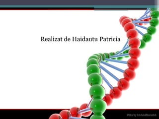 Realizat de HaidautuPatricia
