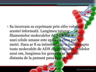 Sa incercamsaexprimamprincifrevolumulacesteiinformatii. Lungimeatuturorfilamentelormoleculelor de ADN din nucleuluneiceluleumaneesteegala cu circa patrumetri. Dacaarfisaintindemintr-o liniedreaptatoatemoleculele de ADN din totalitateacelulelorunuiom, lungimealorgeneralaaracoperidistanta de la pamantpana la soare.