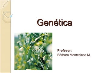 Genética Profesor: Bárbara Montecinos M. 