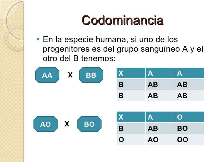 Codominante Genetica