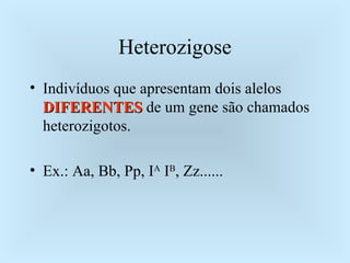 Heterozigose <ul><li>Indivíduos que apresentam dois alelos  DIFERENTES  de um gene são chamados heterozigotos. </li></ul><...